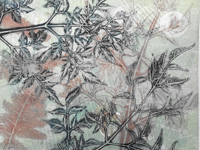 A Winter Garden: Gelli Printing Workshop. Gel plate print inspired by frosty textures.